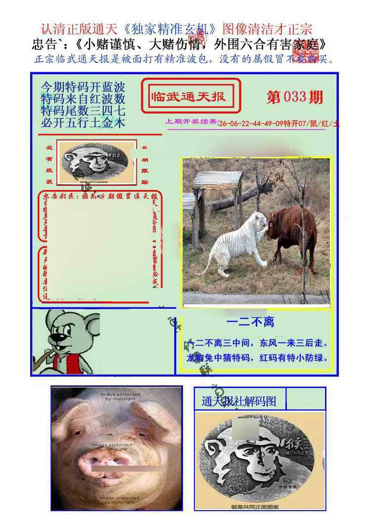 033期临武通天报[图]