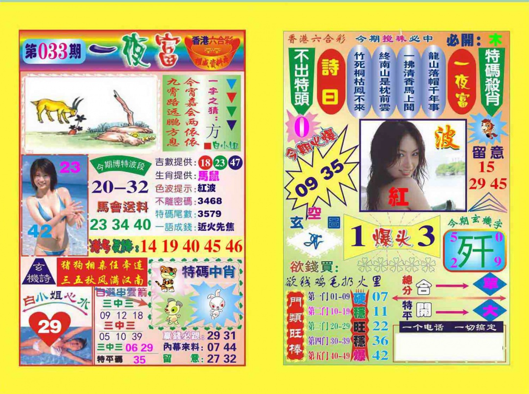 033期一夜富[图]