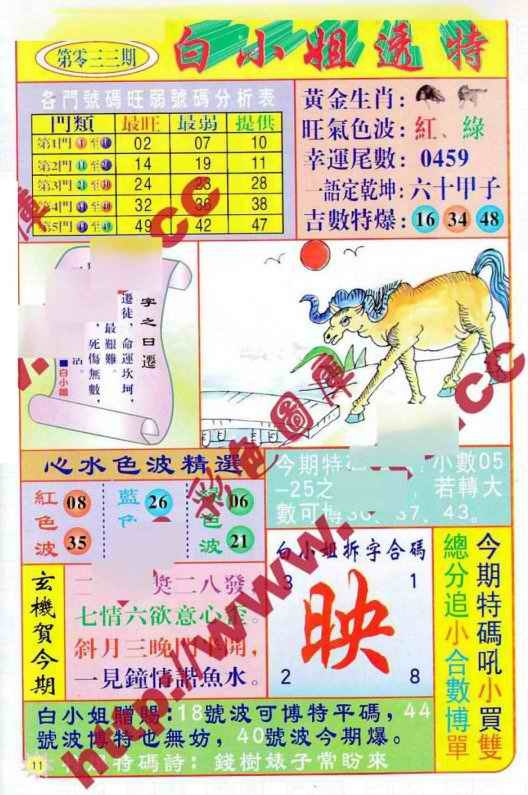 033期白小姐透特[图]